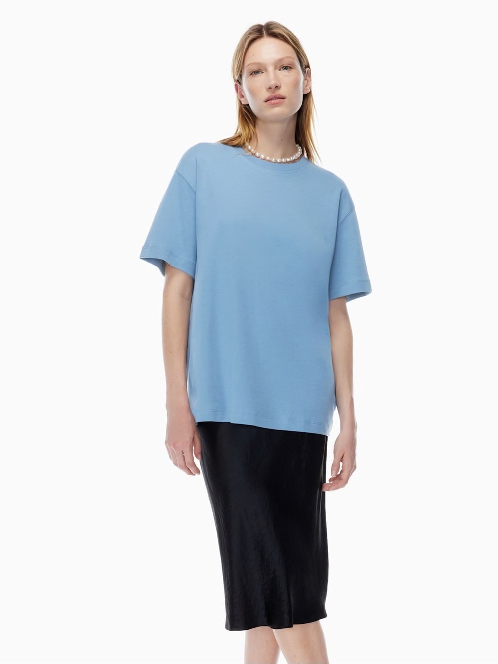 Aritzia the Group Babaton Pegasus T-Shirt